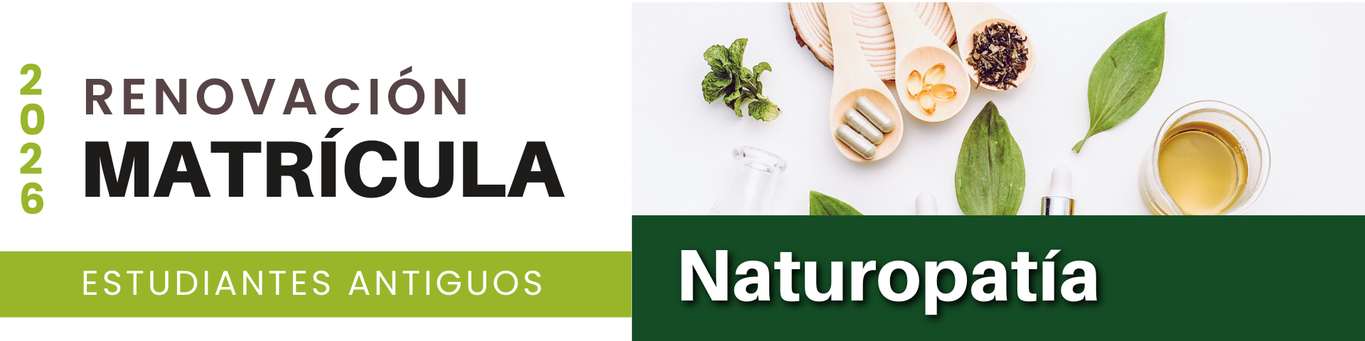 Banner Renovación 2026