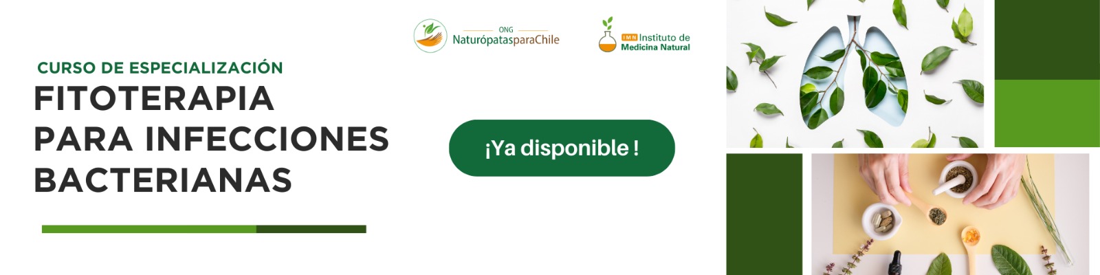 WhatsApp Image 2025-08-19 at 15.26.25