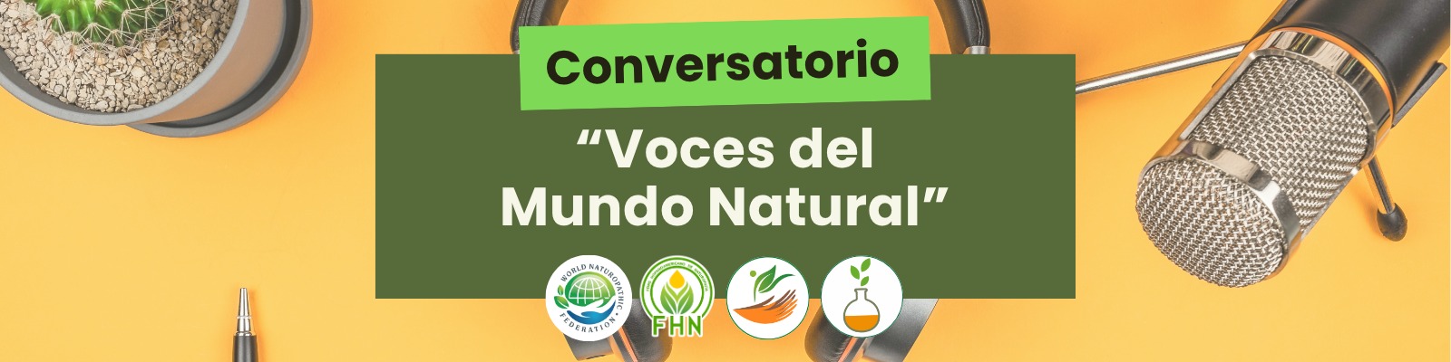 WhatsApp Image 2025-11-11 at 17.19.35