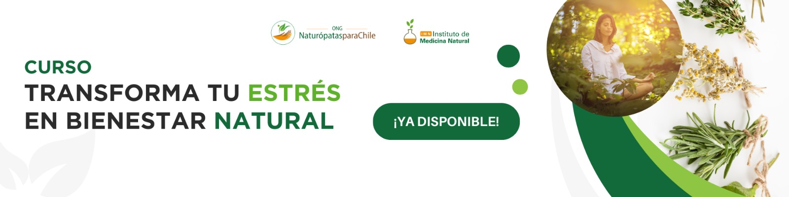 WhatsApp Image 2025-12-11 at 12.08.13