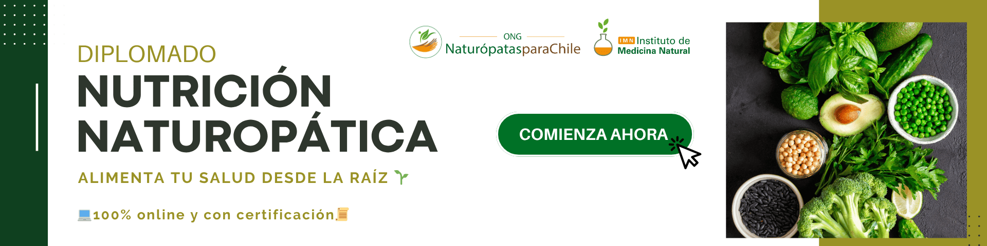 Banner Nutrición Naturopática