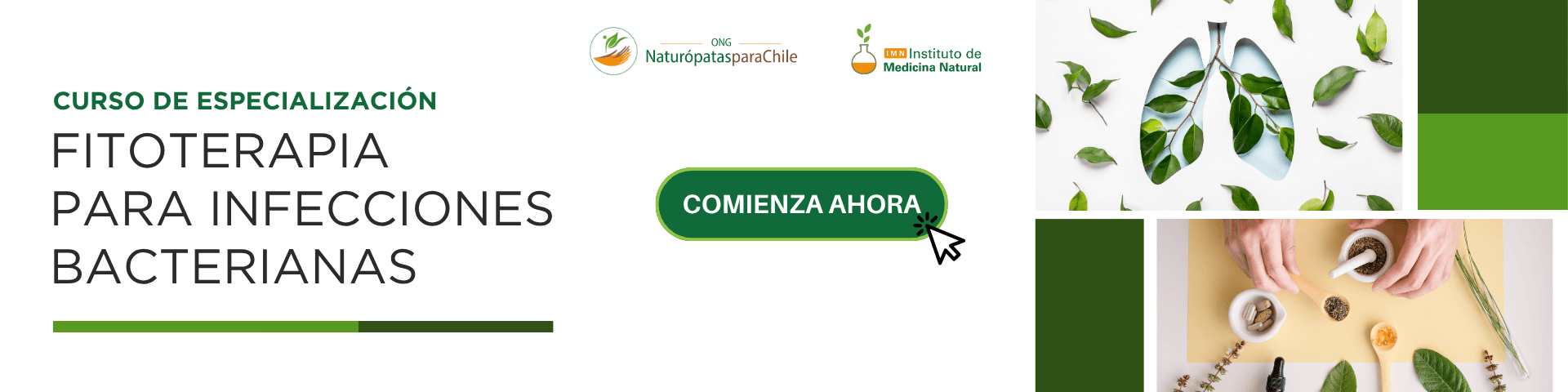 Curso Fitoterapia para infecciones