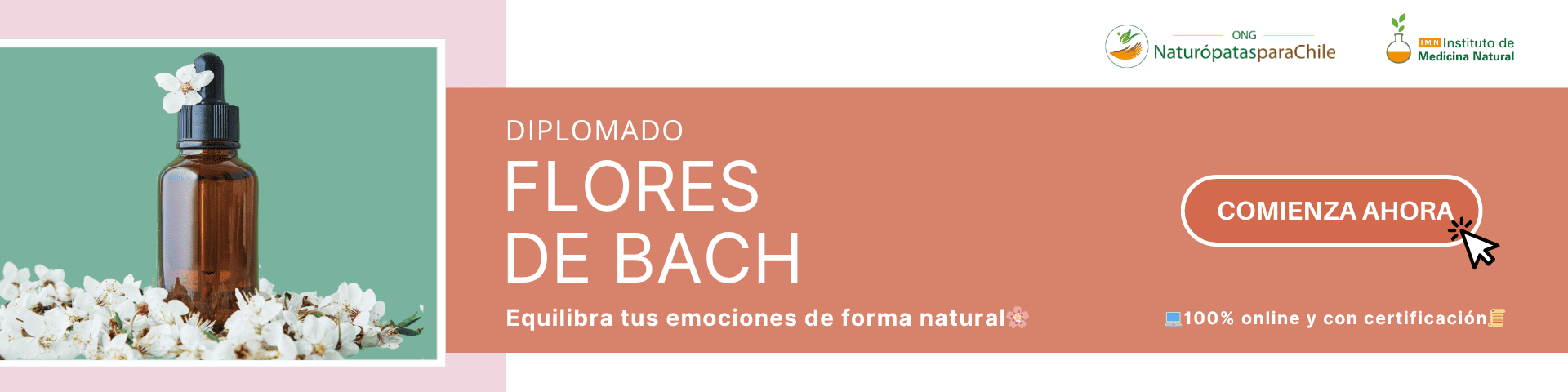 Diplomado Flores de Bach