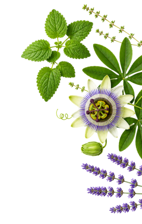 Decoración floral