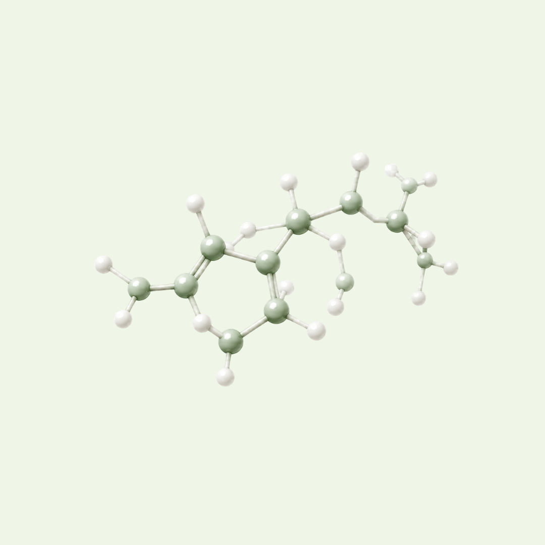 Farmacología - Estructura Química