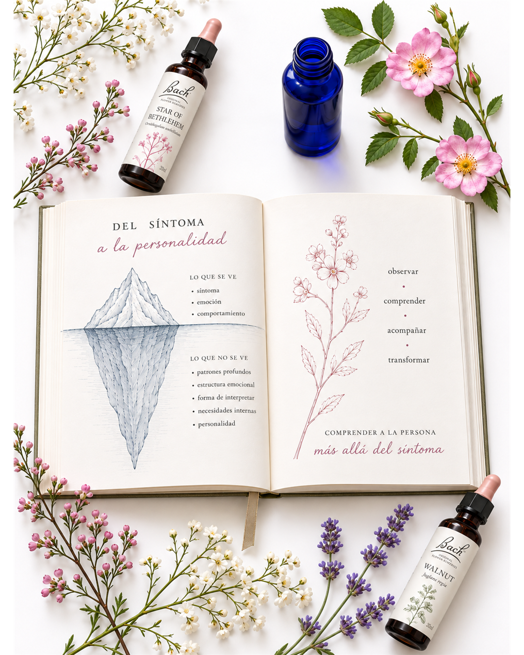 Del síntoma a la personalidad - Flores de Bach Móvil