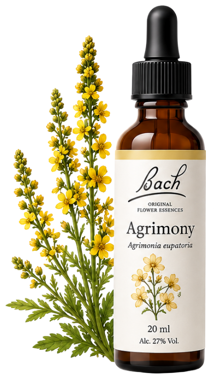 Agrimony Bach - Diplomado Flores de Bach
