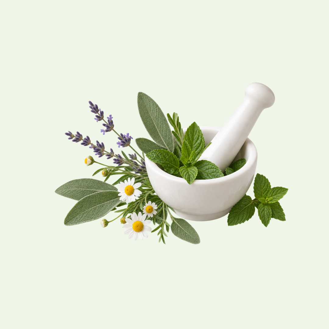 Naturopatía - Mortero y Plantas Medicinales