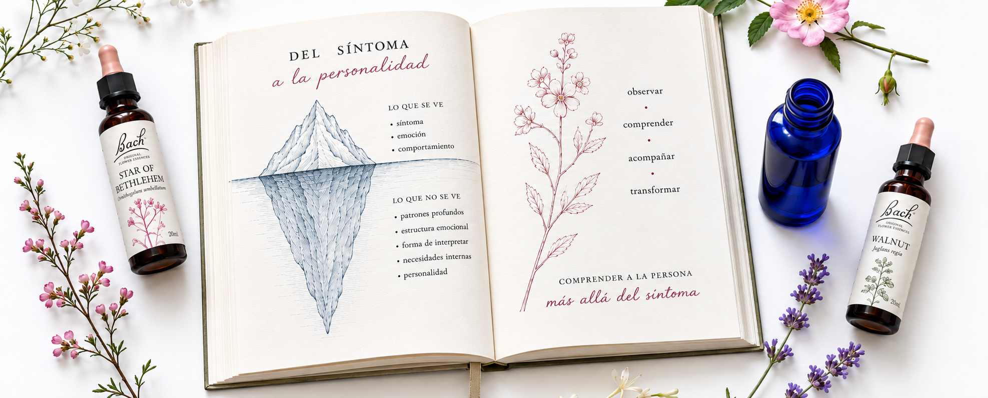Del síntoma a la personalidad - Flores de Bach