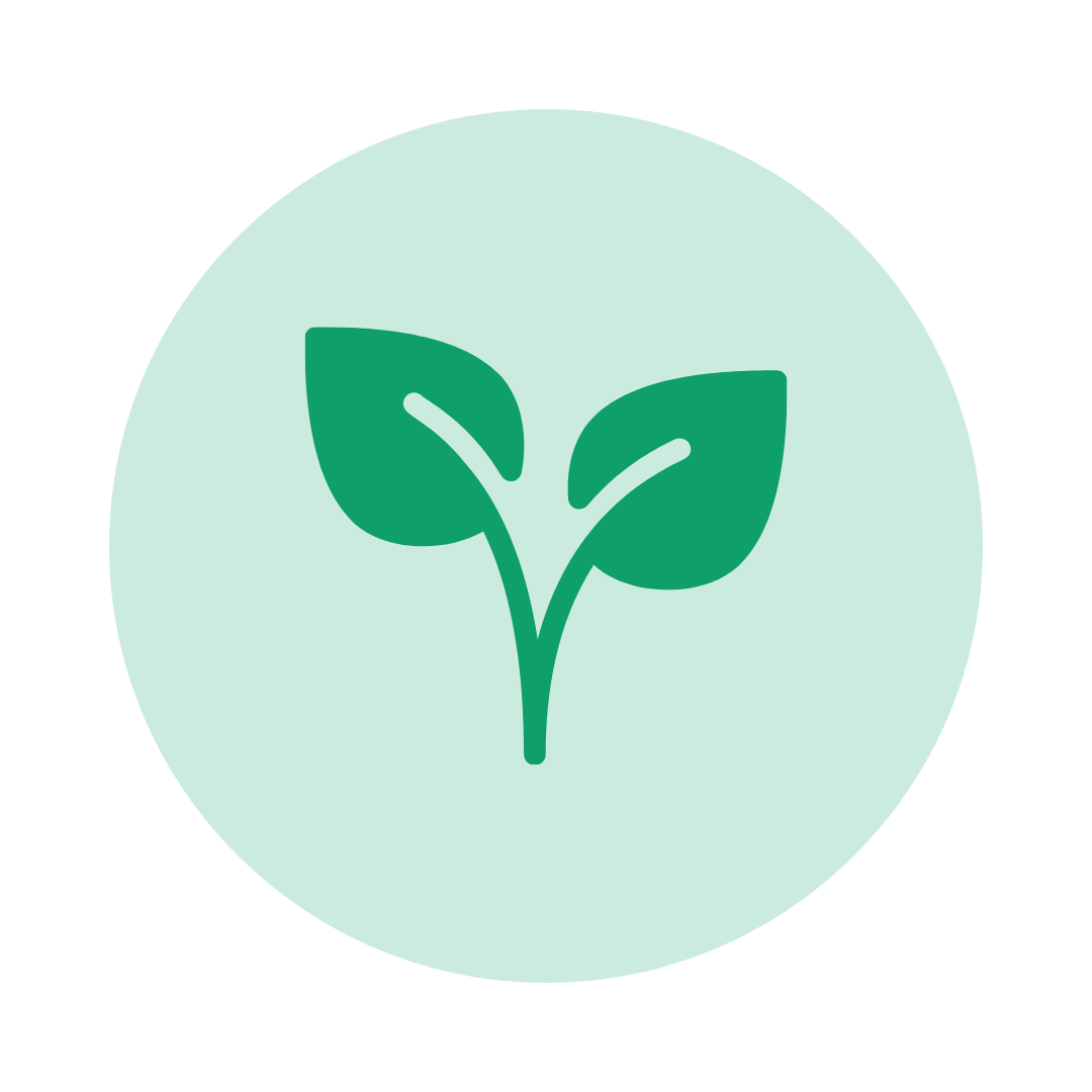 Seleccionar la planta