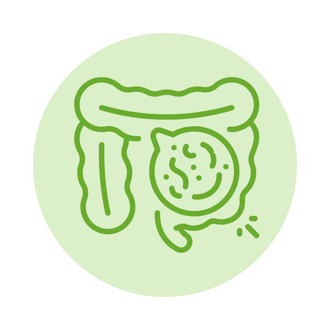Comprender la microbiota