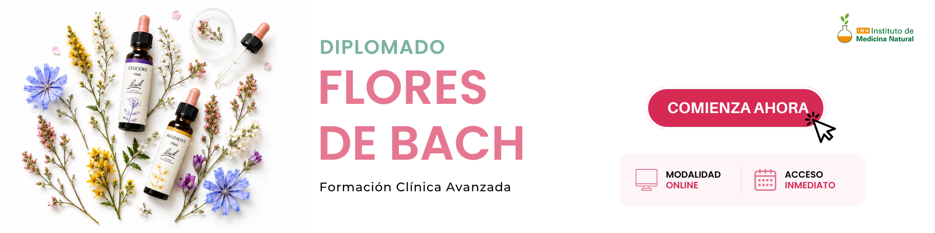 Diplomado Flores de Bach (2)